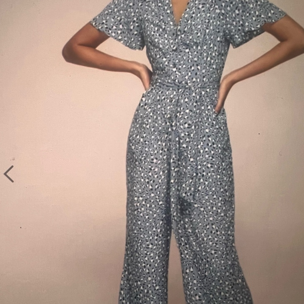 Whistles Blue Leopard Patterned Jumpsuit